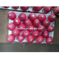 Fresh Apple Fruit for Sale